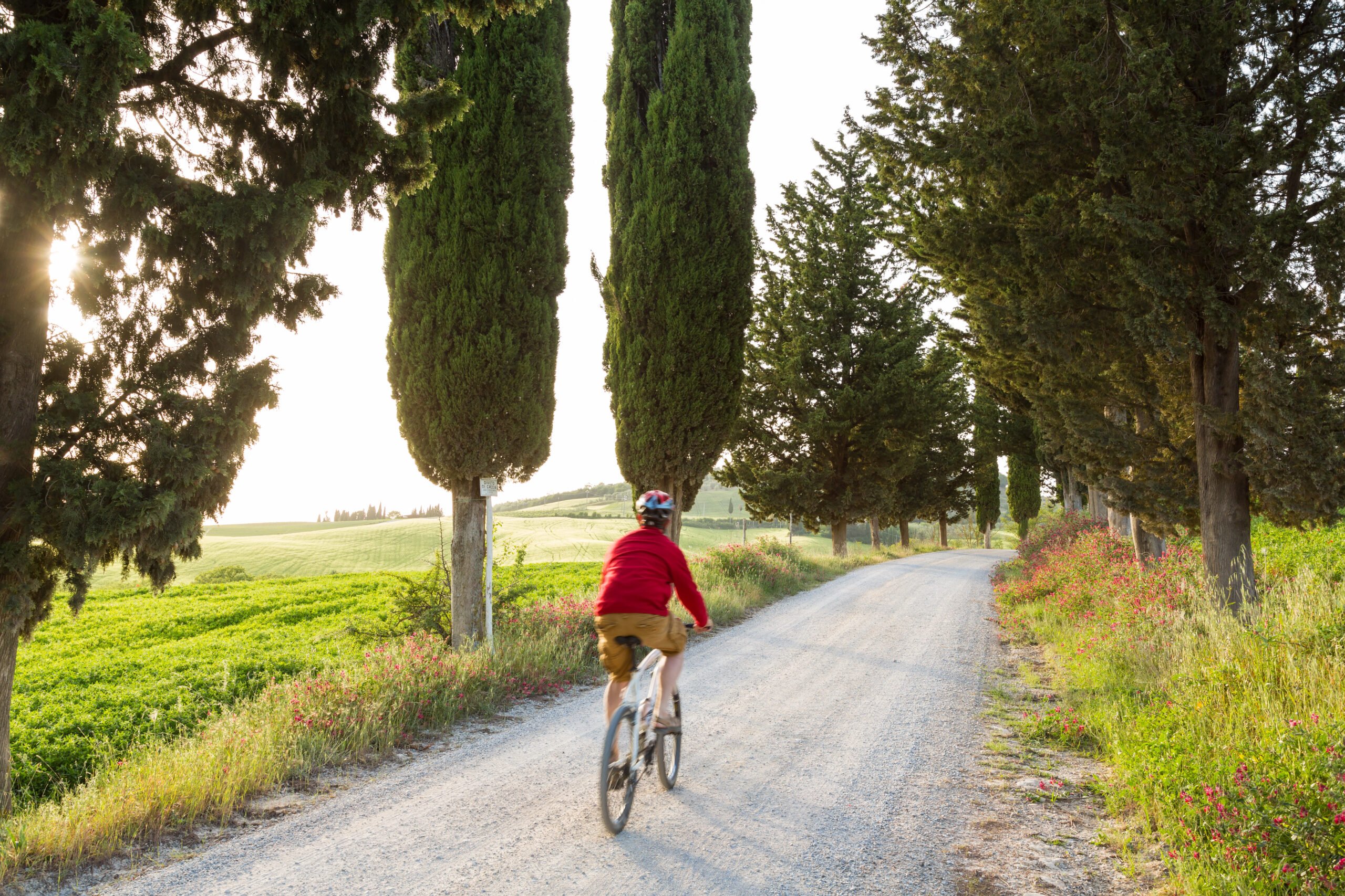 Bike cycling on a trail in Montagnola Senese, Tuscany, Italy near Casali di Casole
